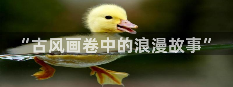 虫虫闹翻天动漫：“古风画卷中的浪漫故事”