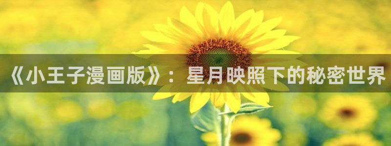 虫虫漫画网页入口：《小王子漫画版》：星月映照下的秘密世界